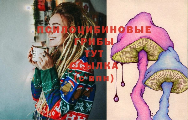 COCAINE Богданович