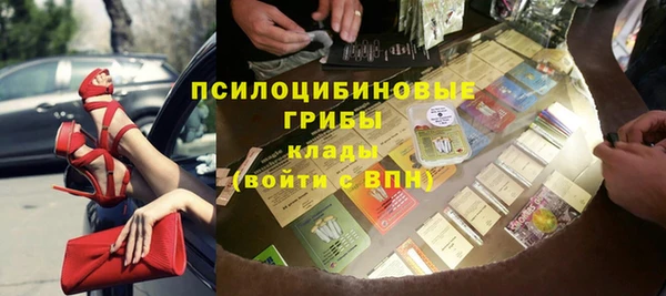 ПСИЛОЦИБИНОВЫЕ ГРИБЫ Богородск
